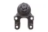 Опора кульова (передня) Nissan Terrano II 92-02 KAVO PARTS SBJ-6502 (фото 4)