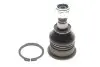 Опора кульова (передня/знизу) Nissan Primera/Sunny 86-02/Almera II 00- KAVO PARTS SBJ-6508 (фото 1)