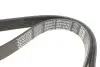 Ремінь генератора Ford Focus 1.4i 98-01 DAYCO 6PK1042EE (фото 3)