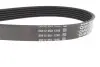 Ремінь генератора Jeep Wrangler 4.0 i 98-07 DAYCO 6PK1910 (фото 2)