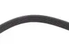 Ремінь генератора Jeep Wrangler 4.0 i 98-07 DAYCO 6PK1910 (фото 4)