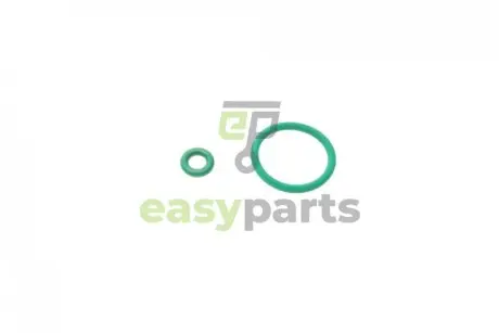 Кільце ущільнююче (топливна система) Audi/Citroen/Peugeot/Renault/VW (к-кт 2 шт) BOSCH 1287010001