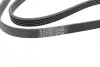 Ремінь генератора Opel Combo/Corsa/Meriva 1.2/1.4 00-/Mitsubishi Galant 2.0 96-00 (5PK1370) BOSCH 1987948347 (фото 8)