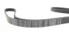 Ремінь генератора Hyundai Terracan 2.9 CRDi 01-06 (5PK1697) BOSCH 1987946292 (фото 4)