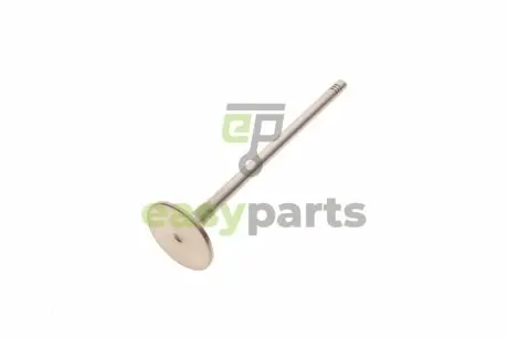 Клапан (впуск) Renault Master 2.2/2.5 dTi/dCi 00- (30.7x6x123.2) (азотований) AMP PREN063-S-0-N