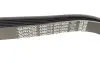 Ремінь генератора Opel Vectra 2.0/2.2 DTI (6PK1805) DAYCO 6PK1805K (фото 3)