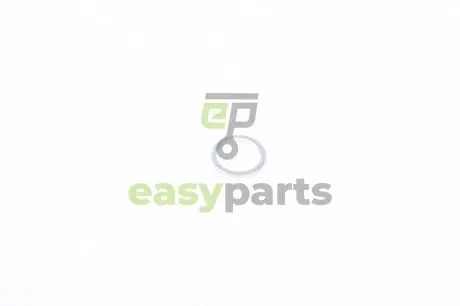 Шайба болта зливу оливи BMW 3(E21/E36/E46)/5(E12/E28/E34)/6(E24)/7(E23) 1.6-3.8 -06 (12x15.5x1.5) ELRING 238.708