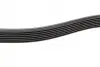 Ремінь генератора Renault Clio 1.2 16V 05-14 (7PK880) BOSCH 1987946264 (фото 10)