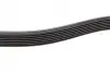 Ремінь генератора Renault Clio 1.2 16V 05-14 (7PK880) BOSCH 1987946264 (фото 4)