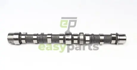 Розподільний вал Fiat Doblo 1.3 JTD Multijet 04-, 51/55/66kw (випуск) INA 428 0103 10