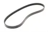 Ремінь генератора BMW 3 (E36)/5 (E34) 90-00 / Ford Focus 2.5 05-12 FB 5PK890