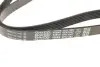 Ремінь генератора VW Golf V/VI/Passat VI/VII/Tiguan/Touran 1.4TSI/FSI/1.6 FSI 03-18 DAYCO 6PK1087 (фото 2)