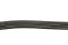 Ремінь генератора Jeep Cherokee/Liberty 2.5/2.8 CRD 01- DAYCO 6PK2870 (фото 2)