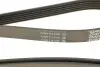 Ремінь генератора Jeep Cherokee/Liberty 2.5/2.8 CRD 01- DAYCO 6PK2870 (фото 4)
