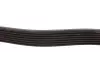 Ремінь генератора Toyota Prado 3.0 D-4D 02-10 DAYCO 7PK1809 (фото 2)