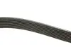 Ремінь генератора Mazda CX-7 2.2MZR-CD AWD 09-13 DAYCO 8PK1295 (фото 2)