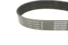 Ремінь генератора Mazda CX-7 2.2MZR-CD AWD 09-13 DAYCO 8PK1295 (фото 3)