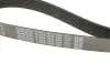 Ремінь генератора Mazda CX-7 2.2MZR-CD AWD 09-13 DAYCO 8PK1295 (фото 4)