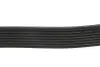 Ремінь генератора BMW 5 (F10)/ X5 (F15/F85) 3.5i/4.0i 09- DAYCO 8PK1478 (фото 4)