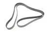 Ремінь генератора Chrysler Grand Voyager/Voyager/Dodge Caravan 2.5 TD 95-01 (8PK2275) BOSCH 1987948432 (фото 1)