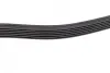 Ремень генератора Suzuki Jimny/Lancia Lybra 03- (6PK1960) BOSCH 1987946244 (фото 4)