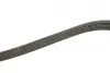 Ремінь генератора Citroen Jumpy 2.0HDI 10- (6PK1245) BOSCH 1987946280 (фото 3)