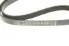 Ремінь генератора MB Citan 12- (6PK1195) BOSCH 1987945704 (фото 10)