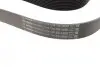 Ремінь генератора BMW 5 (F10/F11)/X3 (F25) 2.5/3.0i 09-13 (N52/N53) (8PK1786) BOSCH 1987945705 (фото 2)