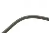 Ремінь генератора Toyota Land Cruiser 200 4.5 D-4D 07-/Man TGL/TGL 4.7/6.9 05- (4PK1389) BOSCH 1987945707 (фото 3)