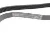 Ремінь генератора Nissan Tiida 1.8 07-12/Fiat Ducato 2.0 94-02 /Renault Espace 3.5 V6 02- (6PK1105) BOSCH 1987945710 (фото 3)