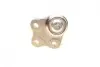 Опора кульова (передня) Ford Galaxy/Mondeo 1.6-2.0 TDCi 06-15 ASMETAL 10FR2205 (фото 4)