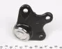 Опора кульова (передня/знизу/L) Audi A2 00-05/Seat/Skoda Fabia 99-14/Roomster 06-15/VW Polo 01- RTS 93-95910-256 (фото 4)