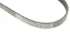Ремінь генератора Ford Focus 2.5 ST 05-12/Mitsubishi Lancer 1.5/1.6 08- (5PK895) BOSCH 1987945715 (фото 5)
