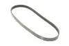 Ремінь генератора Ford Focus 2.5 ST 05-12/Mitsubishi Lancer 1.5/1.6 08- (5PK895) BOSCH 1987945715 (фото 2)