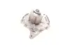 Комплект ГРМ + помпа Renault Clio/Kangoo/Megane/Scenic 01-/Nissan Kubistar 1.5dCi 03- (27x123z) Contitech CT 1035 WP2 (фото 1)