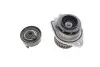 Комплект ГРМ + помпа VW Caddy II/Polo 1.0/1.4 95-04 Contitech CT 846 WP2 (фото 7)