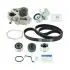 Комплект (ремень + ролик+помпа) SKF VKMC 98109-3 (фото 1)