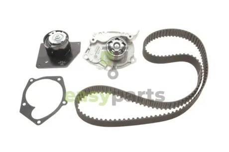 Комплект ГРМ + помпа Renault Megane/Scenic/Grand Scenic 1.9 dCi 09- (133x26) SKF VKMC 06008