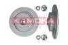 Гальмiвнi диски з пiдшипником Renault Scenic II 03- KAMOKA 1031025 (фото 1)