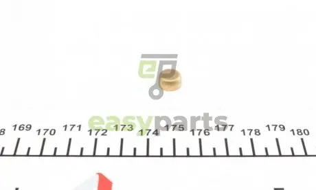 Заглушка блоку циліндрів (d=10mm) Латунь/Brass IMPERGOM 40940