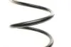 Пружина (задня) VW Golf IV 1.4-2.3 97-05 (нах.зад.частина/фургон) Solgy 212041 (фото 2)