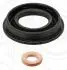 Ремкомплект форсунки Citroen Jumper/Peugeot Boxer 2.0/2.4D 06- 875.760