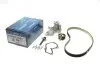 Комплект ГРМ + помпа Ford Mondeo/C-Max/Focus/Transit 1.5/1.6 EcoBoost 10- (117x22) KTBWP9480