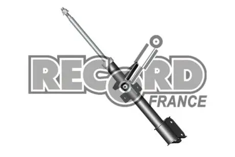 АМОРТИЗАТОР RENAULT DUSTER 4Х4 AR RECORD 104704