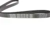 Комплект ременя генератора Fiat Punto 1.3D 03-12/Panda 04-/Ford KA 1.3TDCi 08-16 DAYCO KPV276 (фото 2)