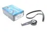 Комплект ременя генератора Citroen ZX/Peugeot 306 1.9D 92-01 (6PK1173) (+AC) KPV451