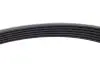 Комплект ременя генератора Citroen ZX/Peugeot 306 1.9D 92-01 (6PK1173) (+AC) DAYCO KPV451 (фото 4)