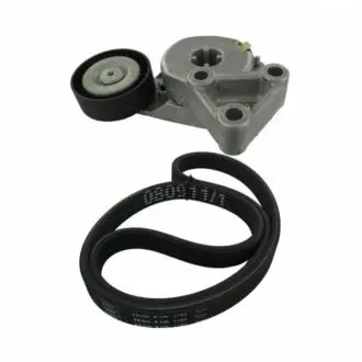 Роликовий модуль натягувача ременя (ролик, ремінь) SKF VKMA 31204
