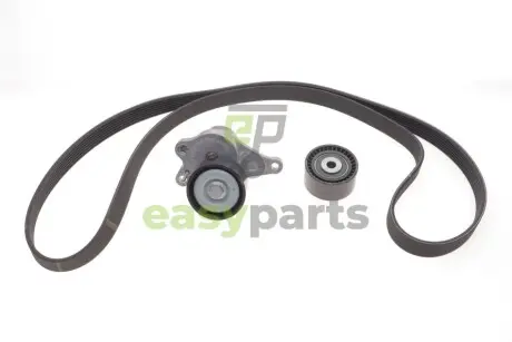 Комплект ременя генератора Renault Trafic 2.0DCI 06- (7PK1687) SKF VKMA 36132