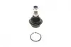 Опора кульова (передня) Ford Transit/Connect 1.8-3.2TDCi 00- Solgy 203034 (фото 1)